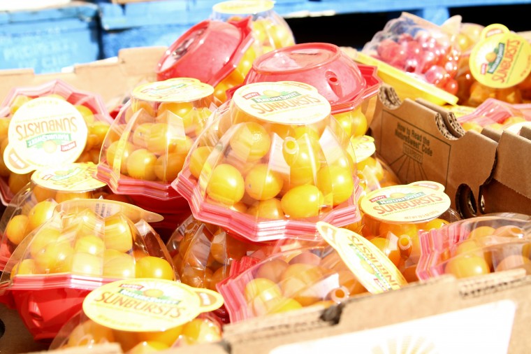 Food Insecurity